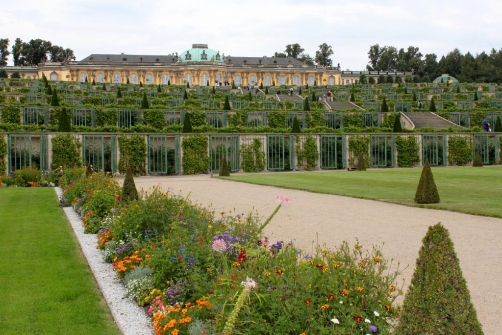 Blick auf die Weinbergterassen von Schloss Sanssouci