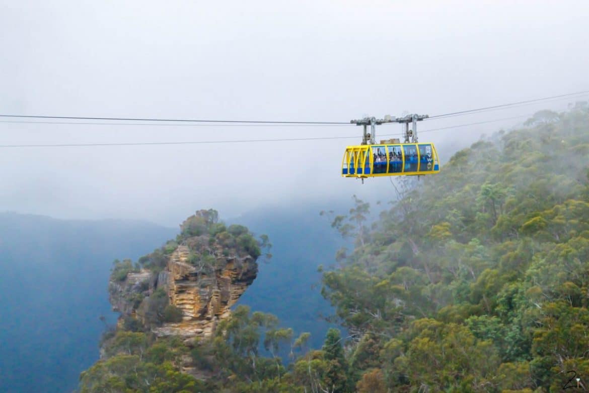 Blue Mountains Zimtblume.de