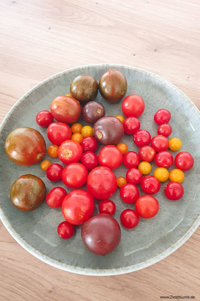 Tomaten für Bruschetta auf einem Teller
