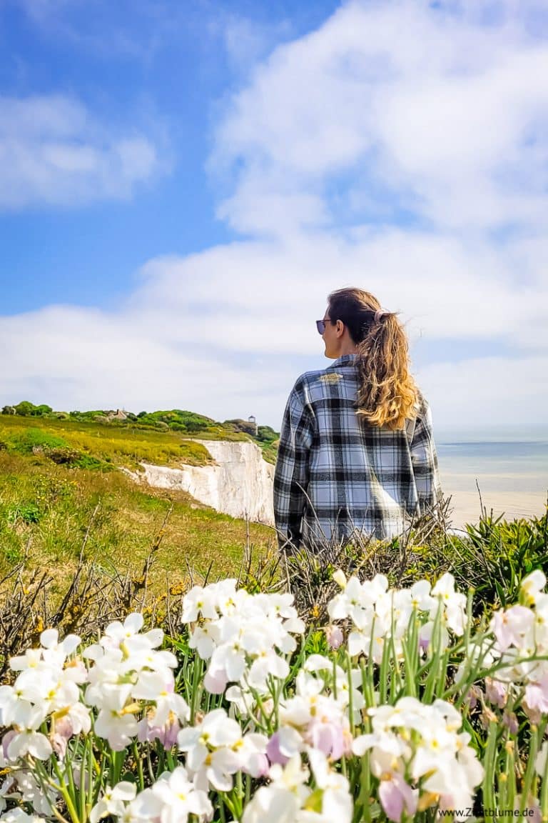Kreidefelsen Dover Wanderung mit Tee im South Foreland Lighthouse