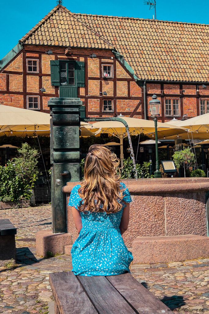 Zimtblume auf dem historischer Marktplatz Lilla Torg in Malmö