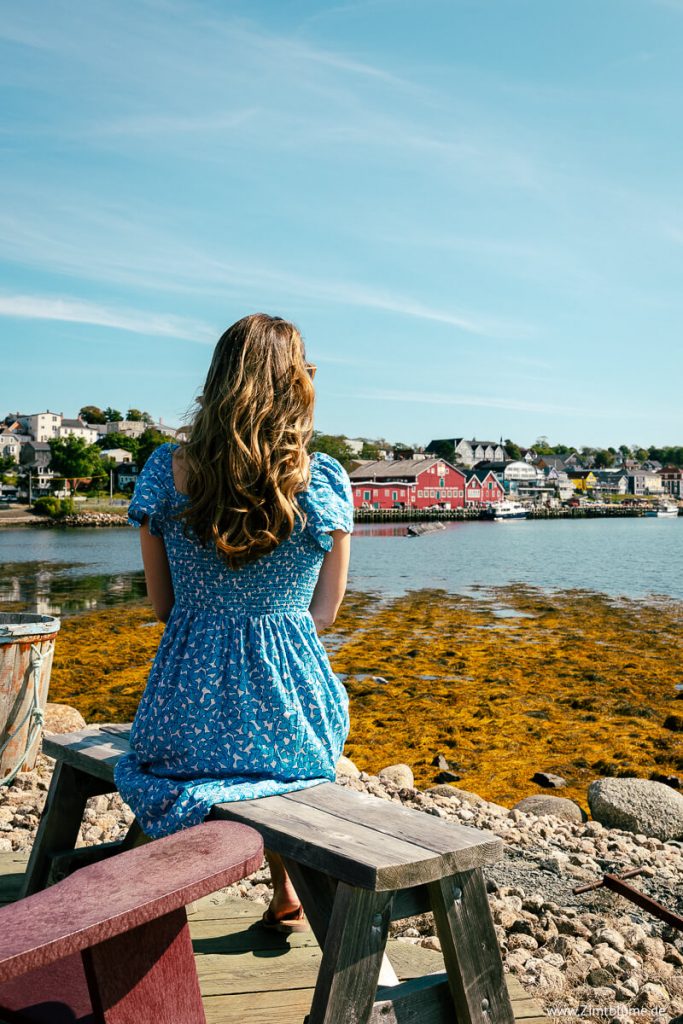 Zimtblume genießt den Ausblick auf Lunenburg vom gegenüberliegenden Ufer