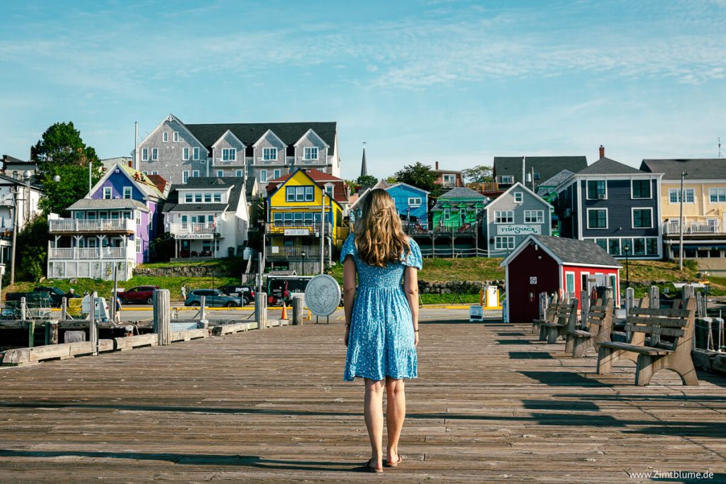 Zimtblume an der Uferpromenade in Lunenburg, Nova Scotia