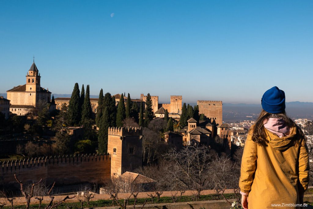 Alhambra Tagesausflug: Zimtblume schaut auf die Festung