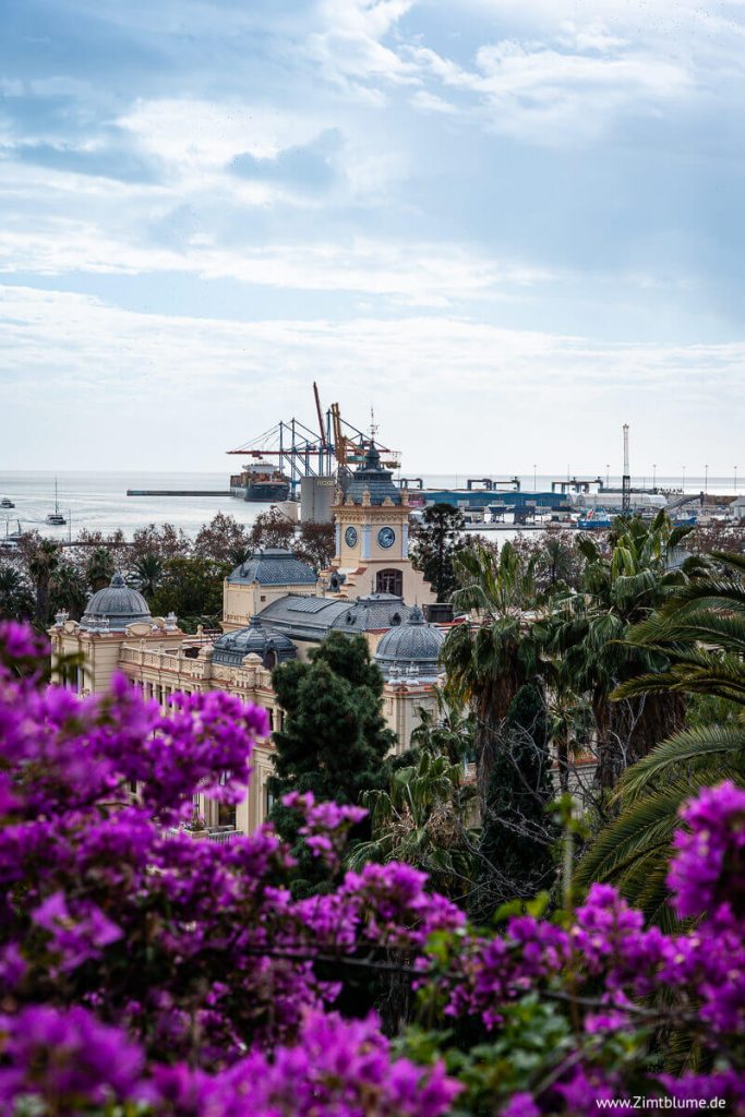 Blick auf den Hafen von Málaga mit pinken Blumen im Vordergrund