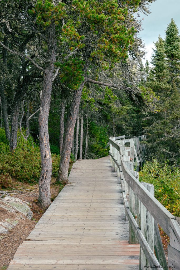 Holzgeländer Pointe de l'Islet, Tadoussac