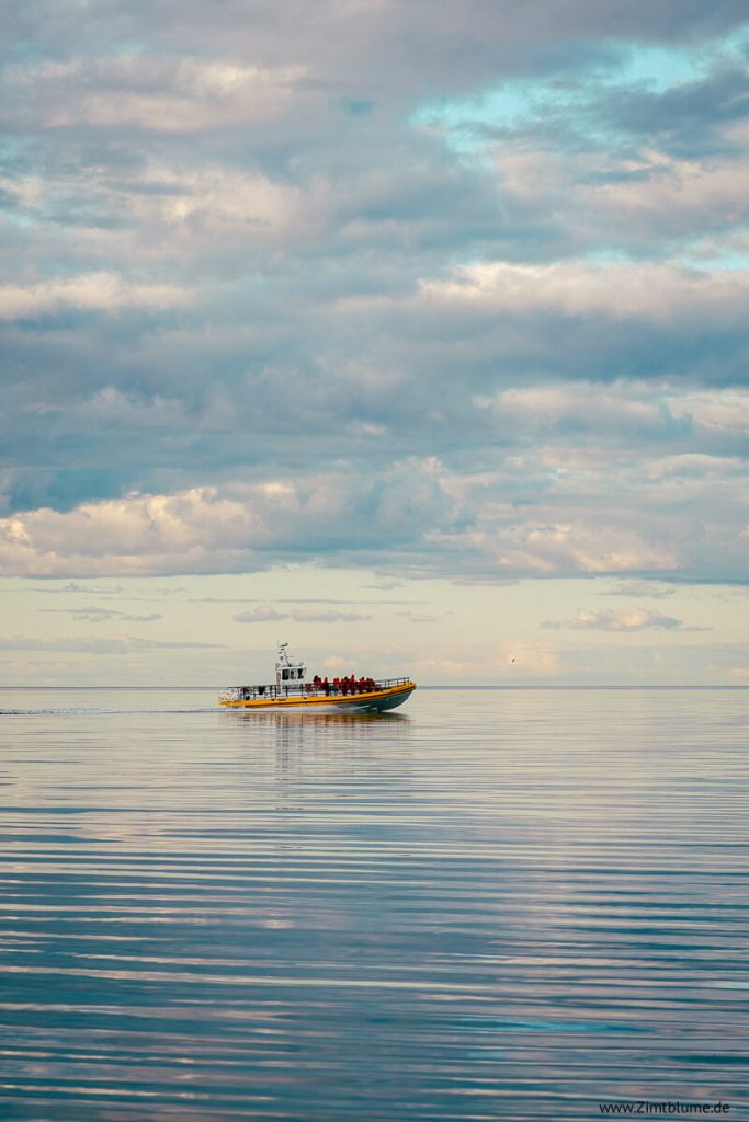 Schnellboot für Walbeobachtung in Tadoussac