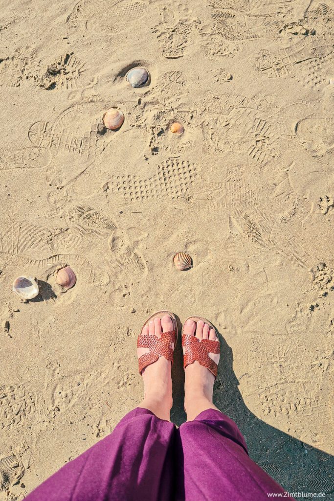 Muscheln am Strand von Conil