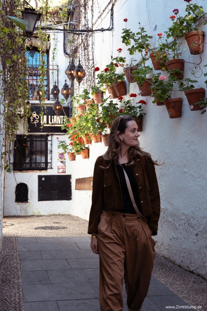 Zimtblume in Córdoba