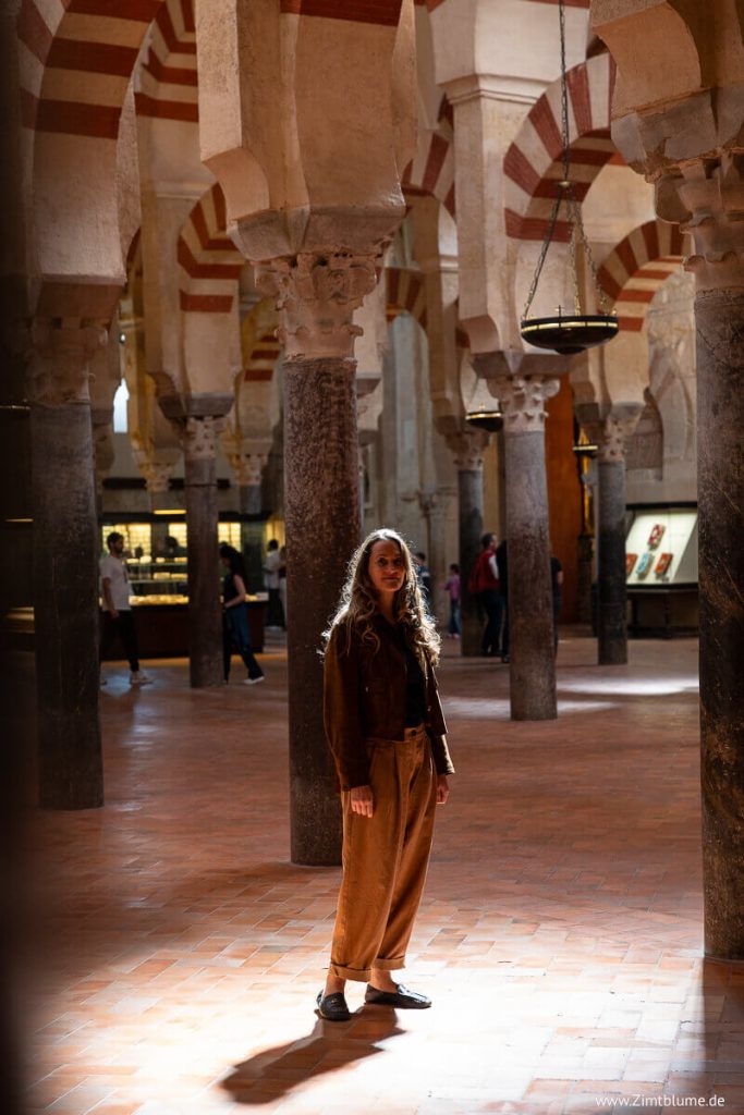 Zimtblume Mezquita in Córdoba